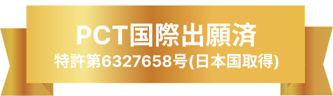 国際特許出願　特許第6327658号(日本国取得)