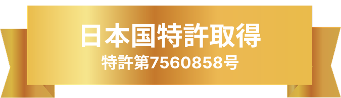 日本国特許取得　特許第7560858号